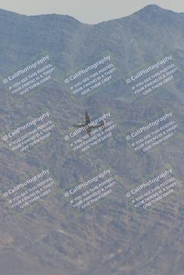 media/Apr-12-2025-Race Pace (Sat) [[9230add55f]]/Vested/6-Turn 4 Tree of Life (115pm)/